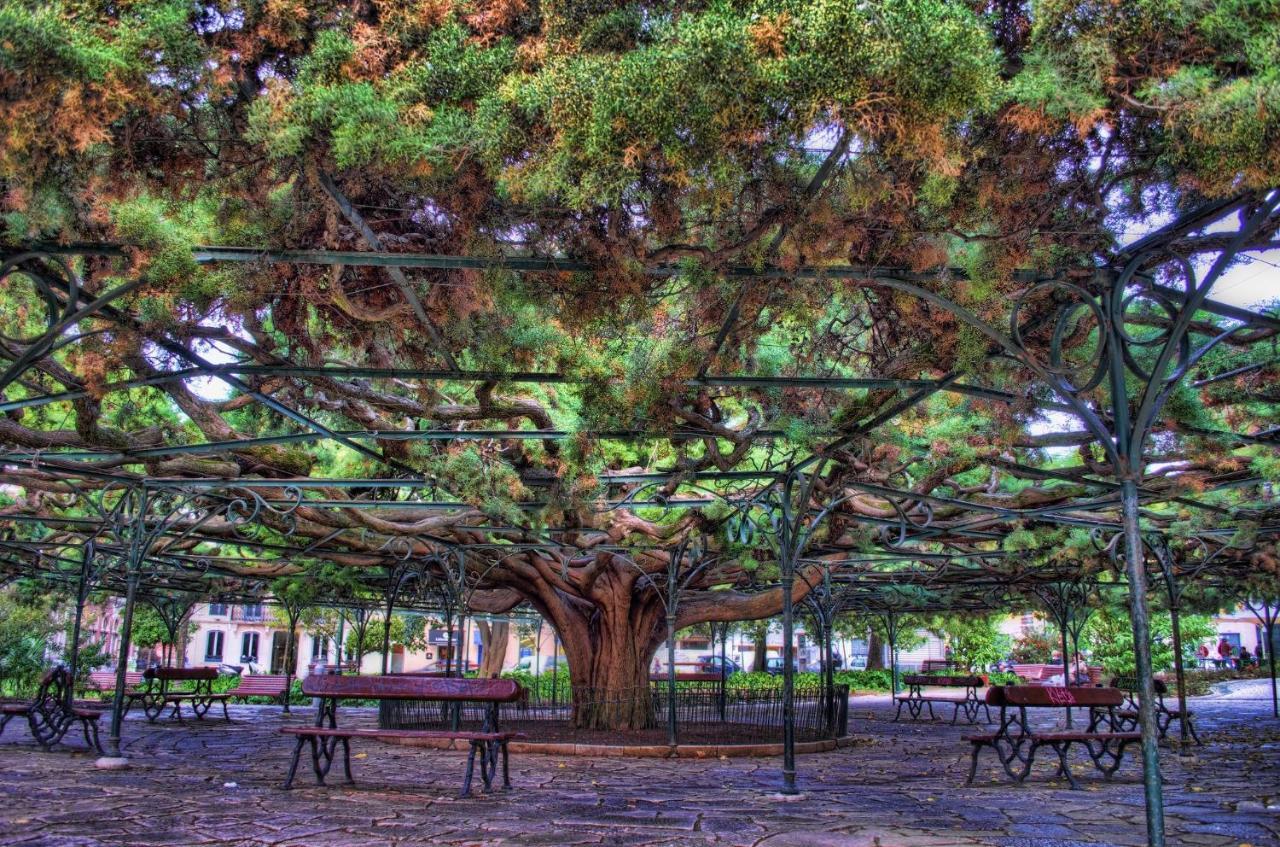 Principe Real Charming Garden View Flat At The Heart Of Lisbon 아파트 외부 사진
